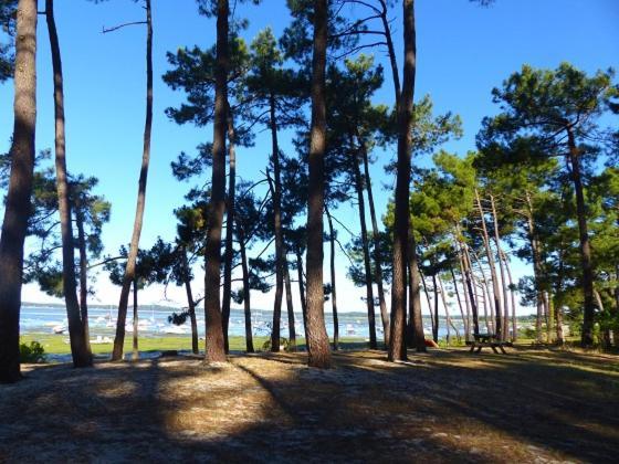 Villa Maison océane proche plage à Ares Extérieur photo